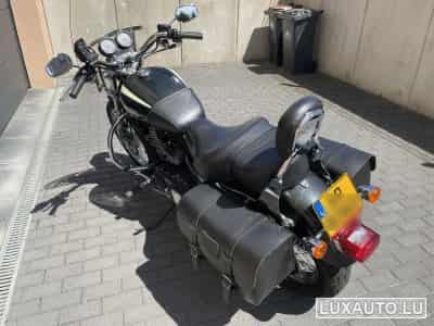 Harley-Davidson Roadster 1200 (2008) - Photo 2