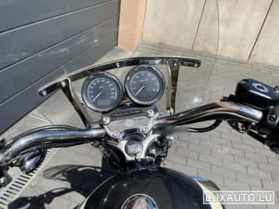 Harley-Davidson Roadster 1200 (2008) - Photo 4