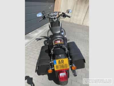Harley-Davidson Roadster 1200 (2008) - Photo 5