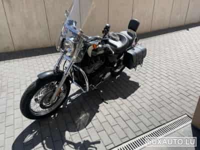 Harley-Davidson Roadster 1200 (2008) - Photo 6