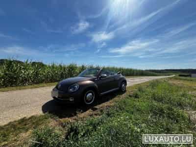 VW Beetle Fender Edition (2013) - Photo 1