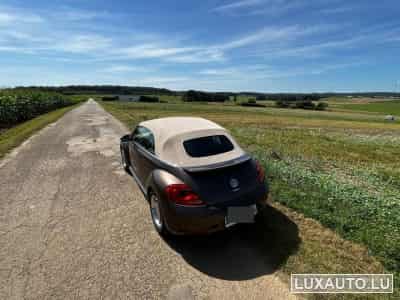 VW Beetle Fender Edition (2013) - Photo 3