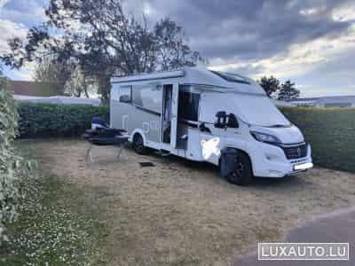 Carado T-447 Emotion (2019) - Photo 1
