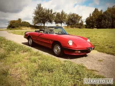 Alfa-Romeo Spider (1984) - Photo 1