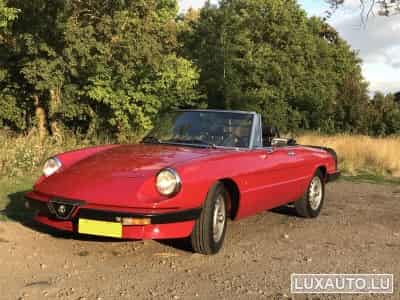 Alfa-Romeo Spider (1984) - Photo 10