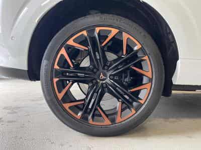 Cupra Terramar VZ (2025) - Photo 6