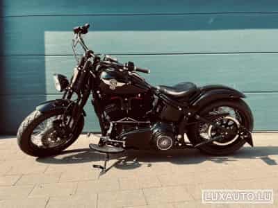 Harley-Davidson Cross Bones (2008) - Photo 1