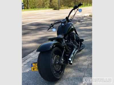 Harley-Davidson Cross Bones (2008) - Photo 2