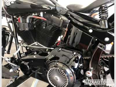 Harley-Davidson Cross Bones (2008) - Photo 3
