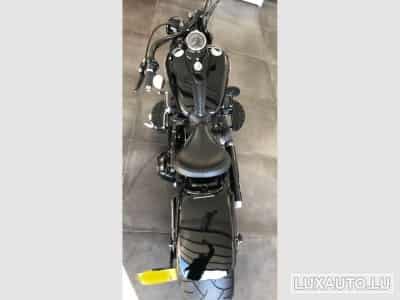 Harley-Davidson Cross Bones (2008) - Photo 4