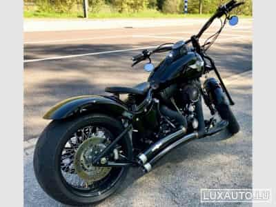 Harley-Davidson Cross Bones (2008) - Photo 5