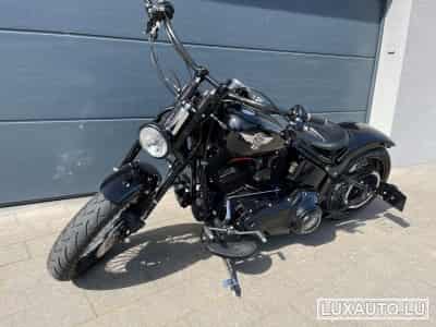 Harley-Davidson Cross Bones (2008) - Photo 6