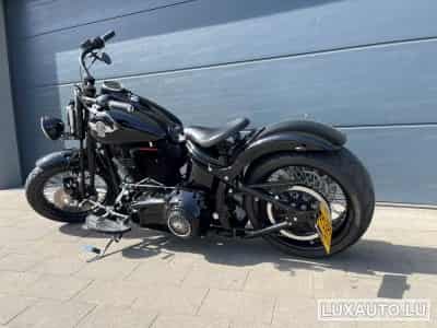 Harley-Davidson Cross Bones (2008) - Photo 7
