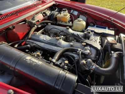 Alfa-Romeo Spider (1988) - Photo 12