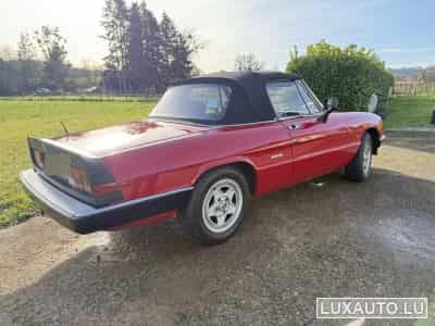 Alfa-Romeo Spider (1988) - Photo 7