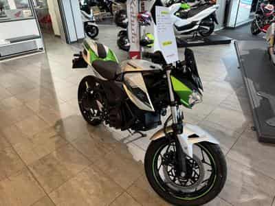 Kawasaki Z 1 (2024) - Photo 1