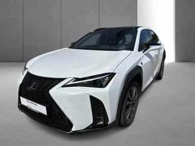Lexus UX (2023) - Photo 3