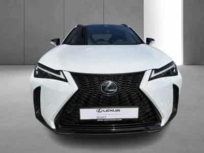 Lexus UX (2023) - Photo 6