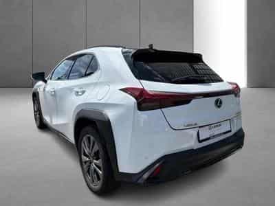 Lexus UX (2023) - Photo 8