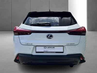 Lexus UX (2023) - Photo 9