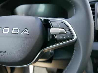 Skoda Karoq Selection (2026) - Photo 13