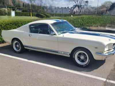 Ford Mustang Fastback GT350 Tribut 1965 (1965) - Photo 1