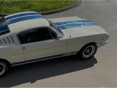 Ford Mustang Fastback GT350 Tribut 1965 (1965) - Photo 2