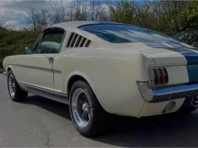 Ford Mustang Fastback GT350 Tribut 1965 (1965) - Photo 3