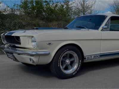 Ford Mustang Fastback GT350 Tribut 1965 (1965) - Photo 4