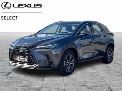 Lexus NX Business Line (2024) - Photo 1