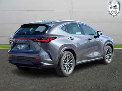 Lexus NX Business Line (2024) - Photo 2