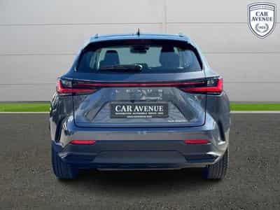 Lexus NX Business Line (2024) - Photo 4