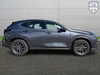 Lexus NX Business Line (2024) - Photo 5