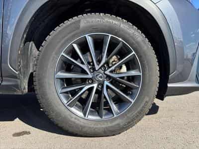 Lexus NX Business Line (2024) - Photo 6