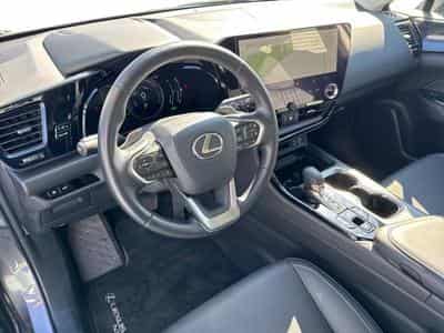 Lexus NX Business Line (2024) - Photo 7