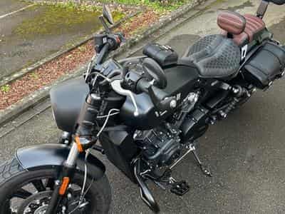 Indian Scout Scout bobber (2024) - Photo 1