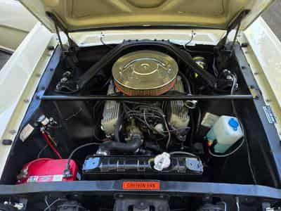 Ford Mustang Fastback GT350 Tribut 1965 (1965) - Photo 5