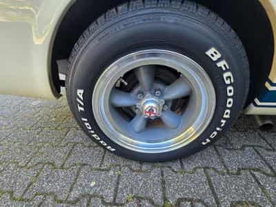 Ford Mustang Fastback GT350 Tribut 1965 (1965) - Photo 10