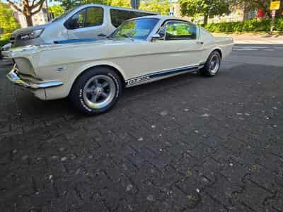 Ford Mustang Fastback GT350 Tribut 1965 (1965) - Photo 13