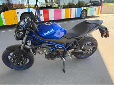 Suzuki SV (2025) - Photo 1