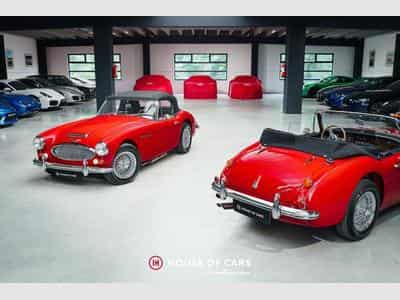 Austin-Healey Mk III 3000 BJ8 - Nut-and-bolt restoration (1967) - Photo 1