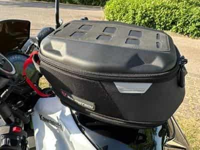 Kawasaki Z Kawasaki Z900 (2019) - Photo 6