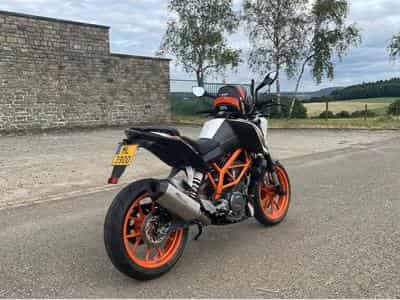 KTM Duke 390 (2016) - Photo 1