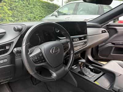 Lexus ES 300h Executive Line (2023) - Photo 7