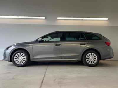 Skoda Octavia Essence (2026) - Photo 3