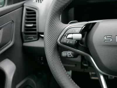 Skoda Karoq Sportline (2026) - Photo 11