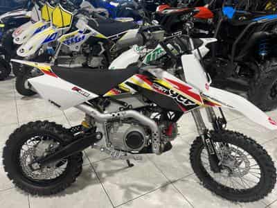 YCF Start F (2024) - Photo 1