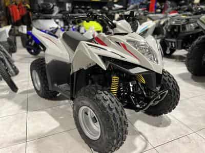 Kymco Maxxer 90 S (2024) - Photo 5