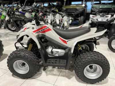 Kymco Maxxer 90 S (2024) - Photo 6