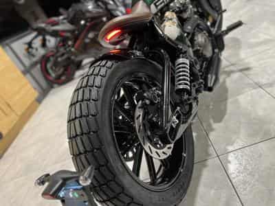 Benda Napoleon 250 (2026) - Photo 5